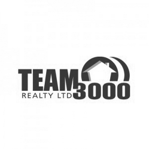 Team 3000 Realty LTD