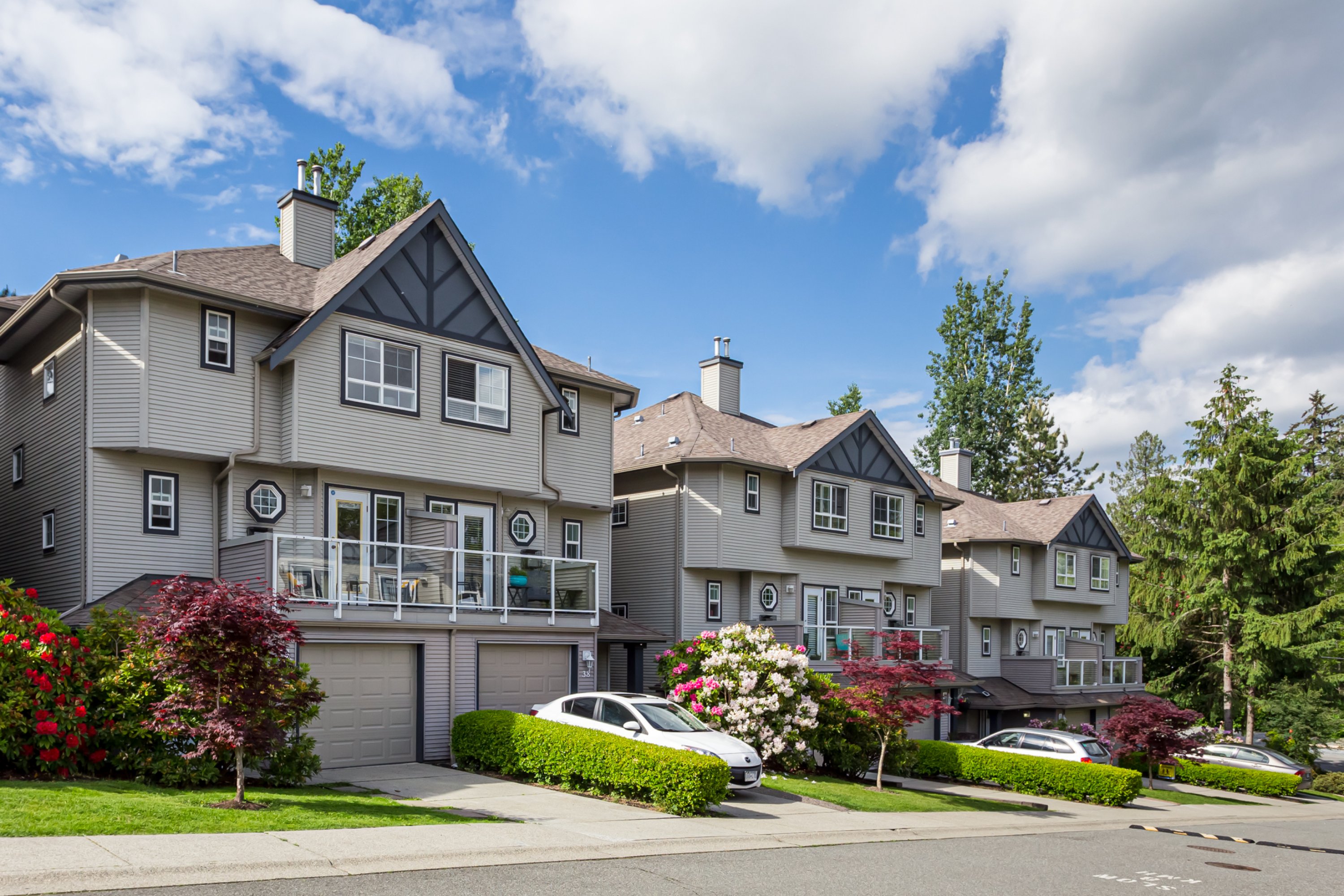 37 - 11229 232 Street, Maple Ridge