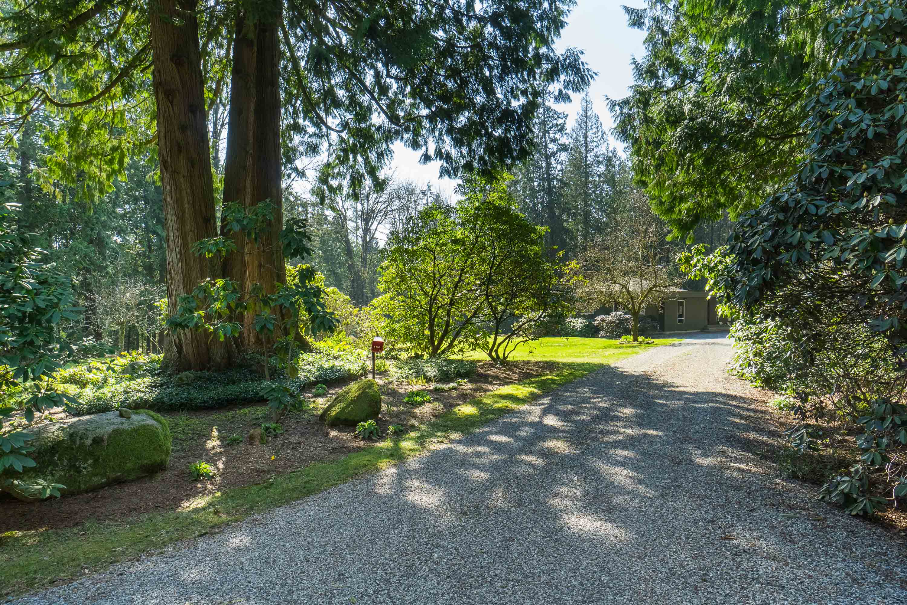 10105 Rolley Crescent, Maple Ridge