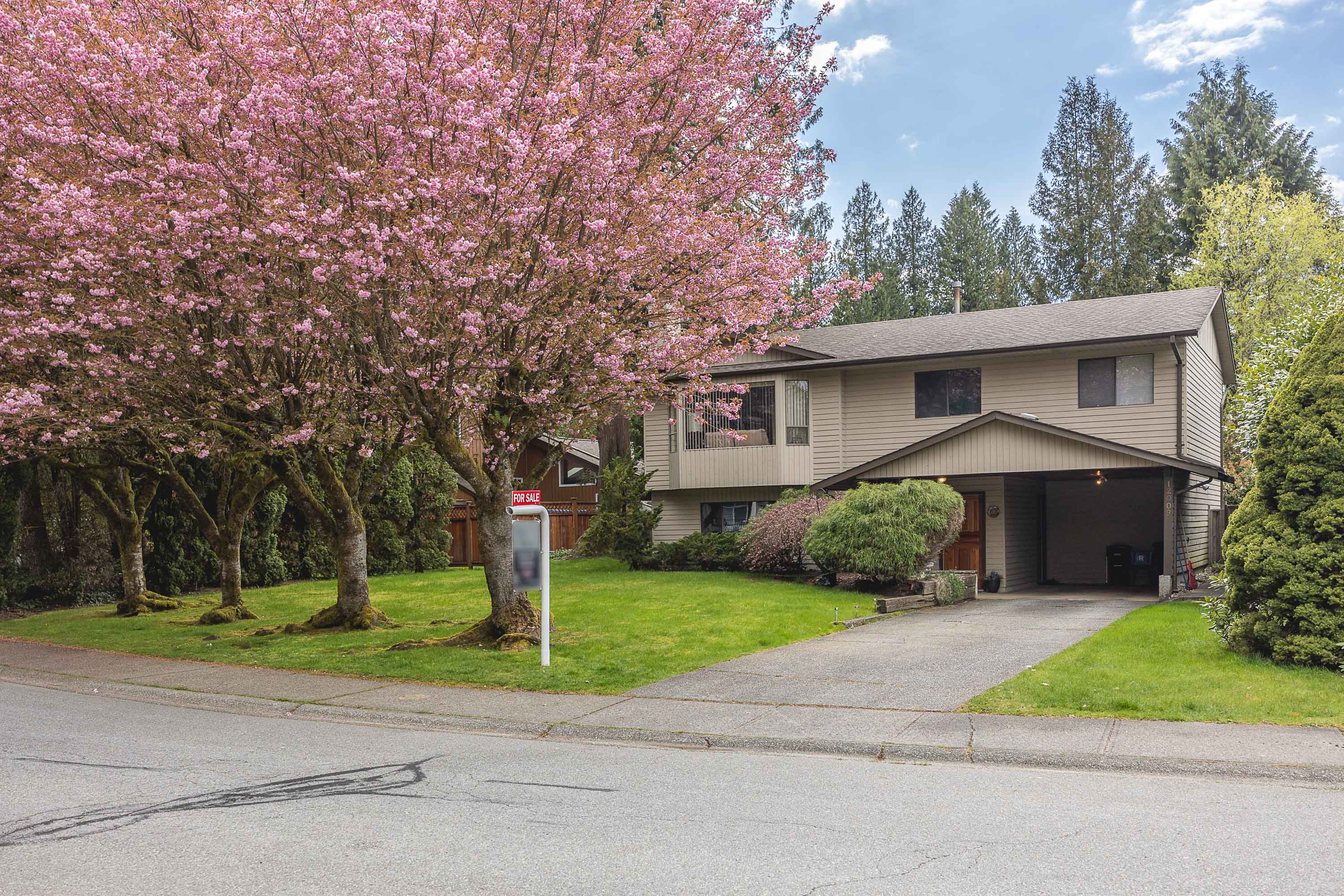 12009 195B Street, Pitt Meadows