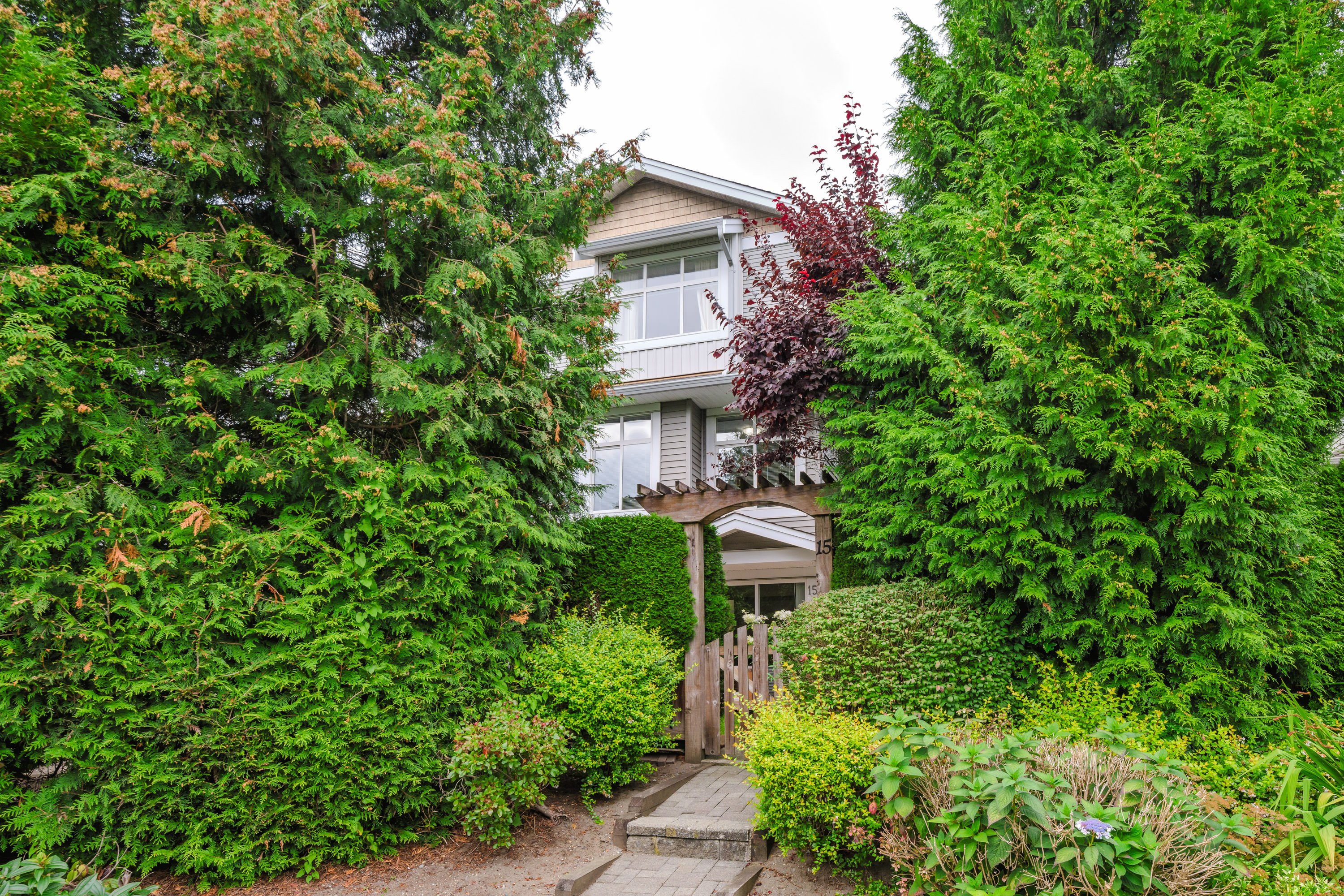 15 - 20449 66 Avenue, Langley