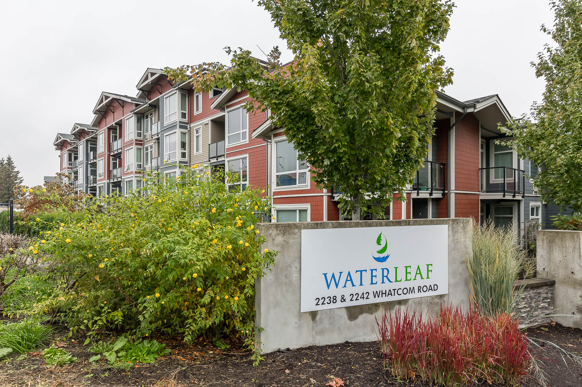 112 - 2242 Whatcom Road, Abbotsford